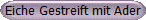Eiche Gestreift mit Ader